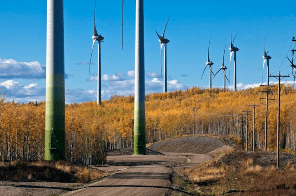 RE Royalties Green Bonds