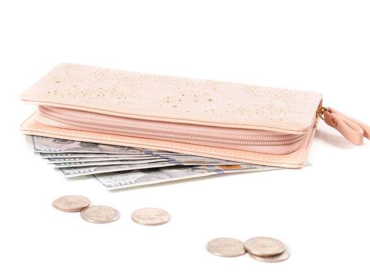 wallet with money